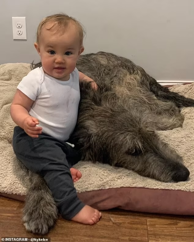 Jason Kelce's daughter and Dog