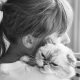 Taylor Swift Hugging Cat