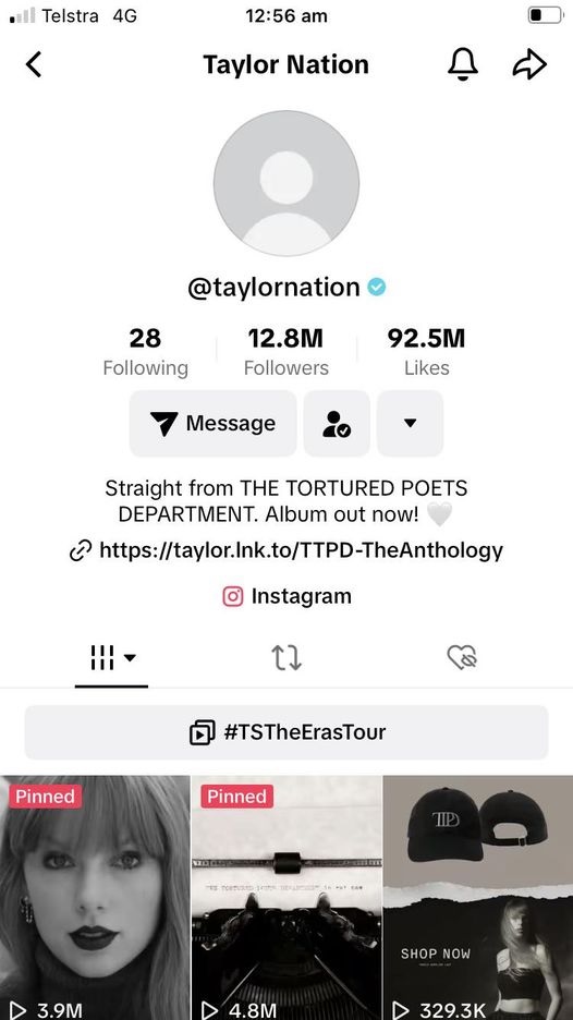 Taylor Nation Profile on Instagram