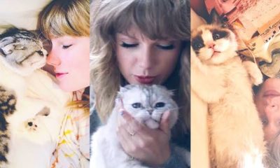 Taylor Swift and her cat