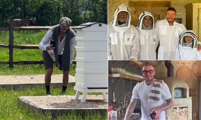 David Beckham is accused of placing beehives on boundary of his stunning £12m Cotswolds country mansion to keep away nosey ramblers who peer over his fence